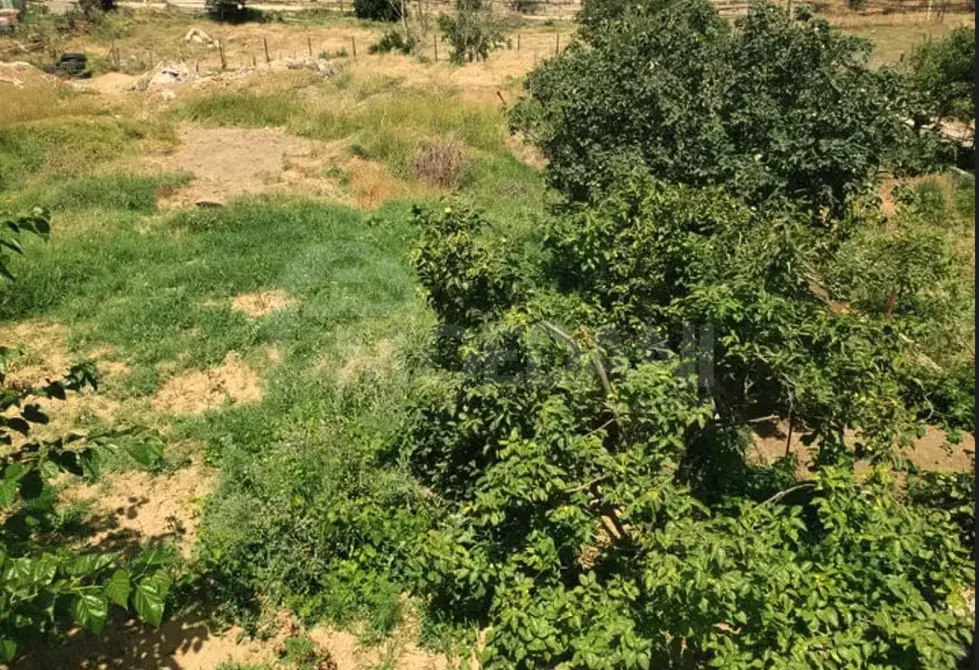 Продам земельный участок 500м² Тбилиси - изображение 2