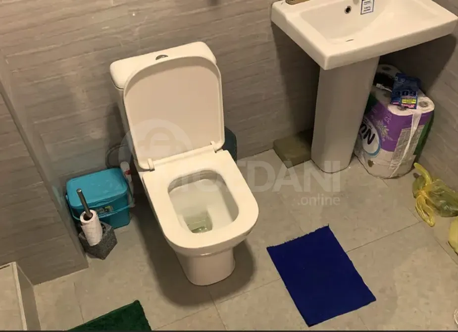 Apartments For Rent two-room 54м² 12/12 floor Tbilisi - photo 6