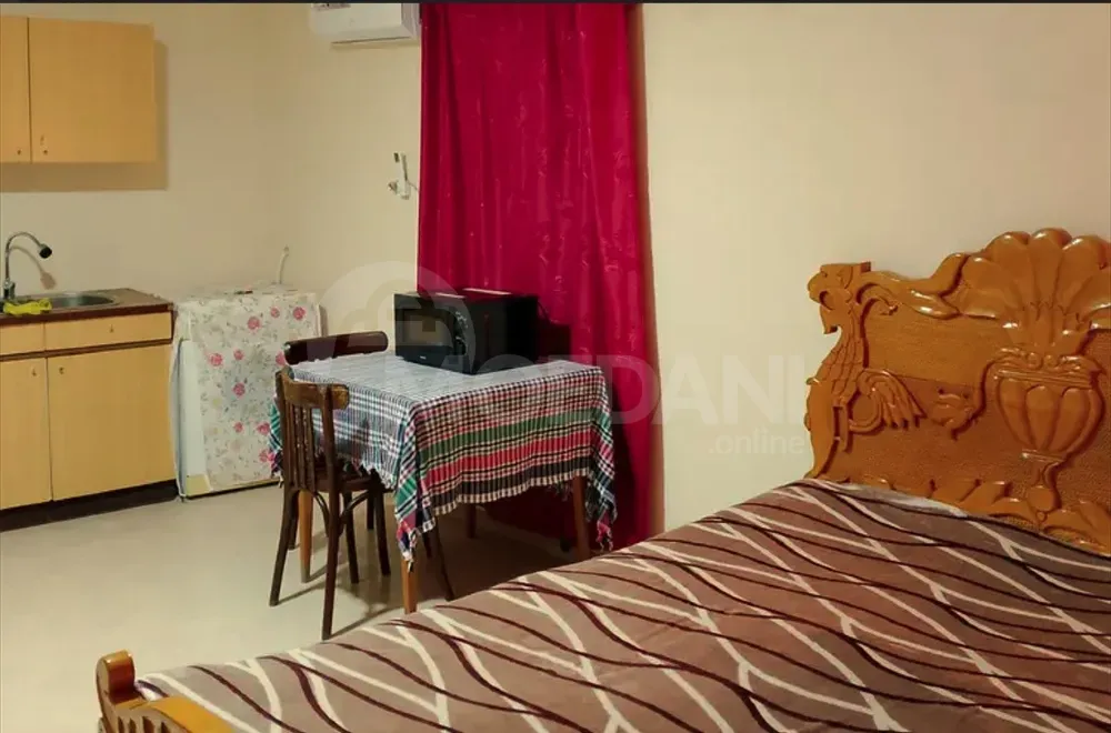 Apartments For Rent one-room 30м² 1/1 floor Tbilisi - photo 2