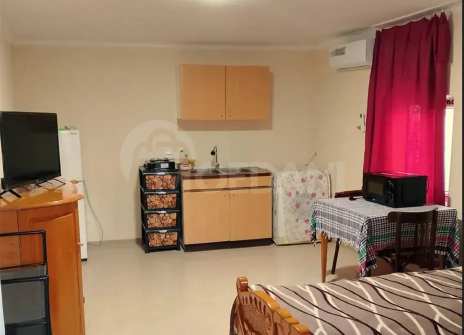 Apartments For Rent one-room 30м² 1/1 floor Tbilisi - photo 4