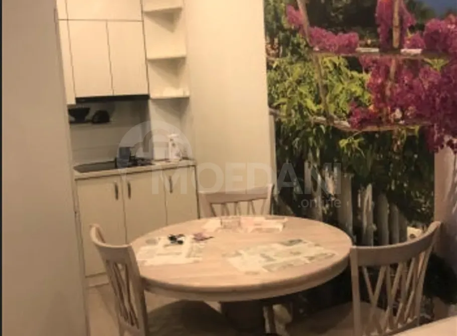 Сдам 2-комн. квартиру на сутки в Тбилиси  45м² 16/19 эт. Тбилиси - изображение 9