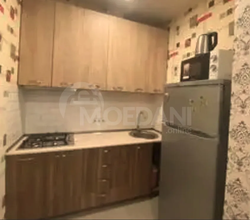 Apartments For Sale two-room 46м² 13/13 floor Tbilisi - photo 4