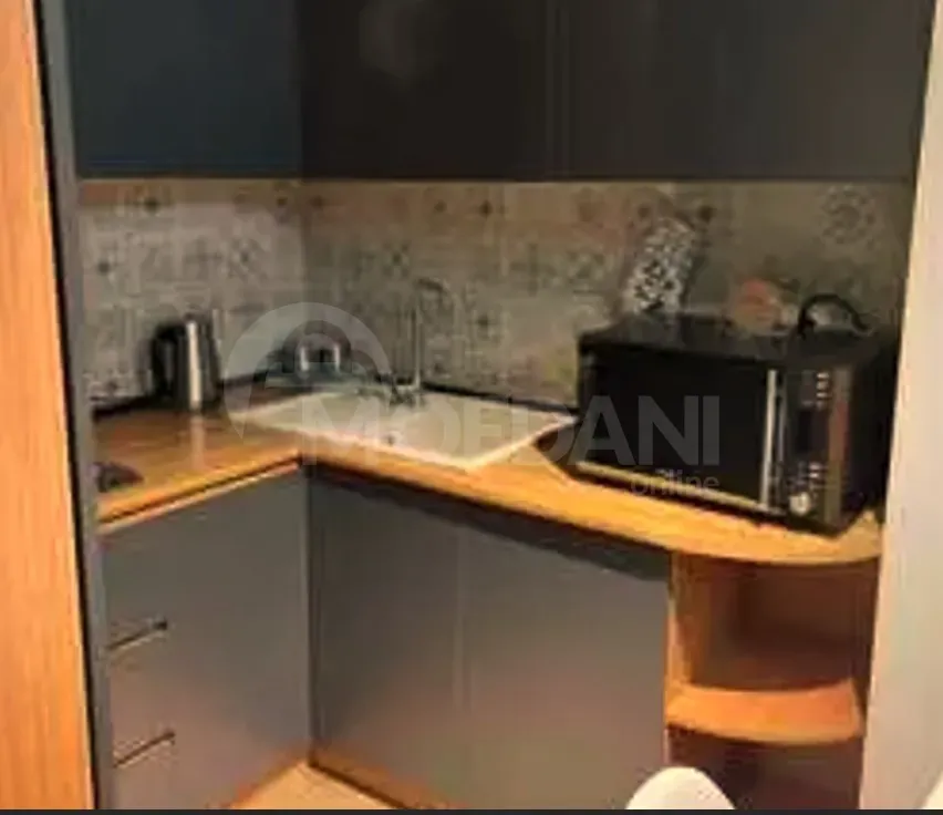 Сдам 2-комн. квартиру 60м² 7/24 эт. Тбилиси - изображение 2