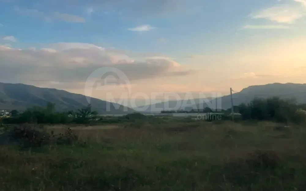 Продам земельный участок 600м² Mckheta - photo 6