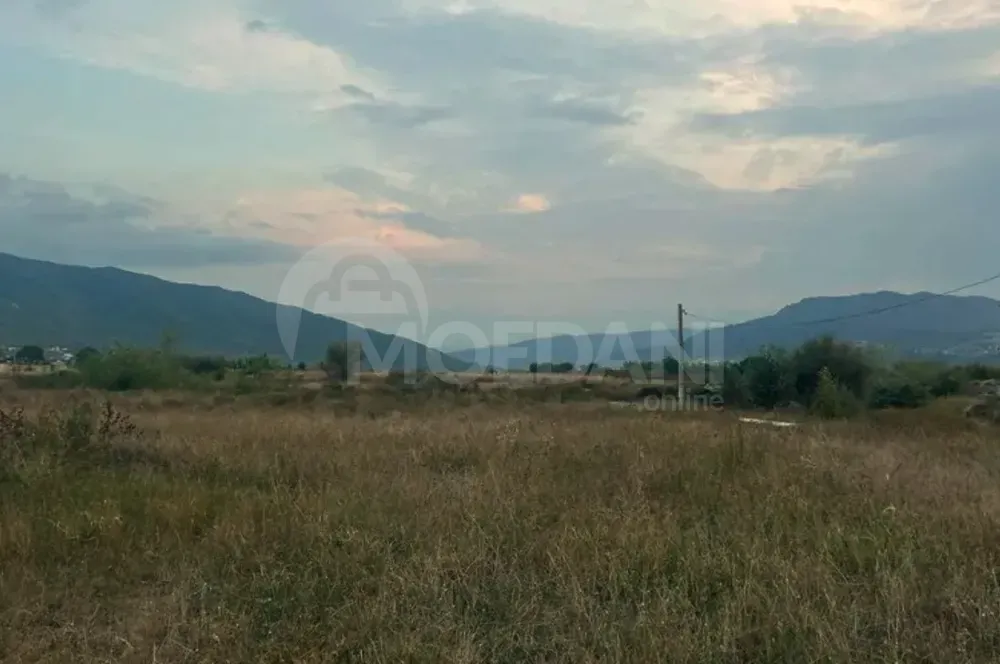 Продам земельный участок 600м² Mckheta - photo 5