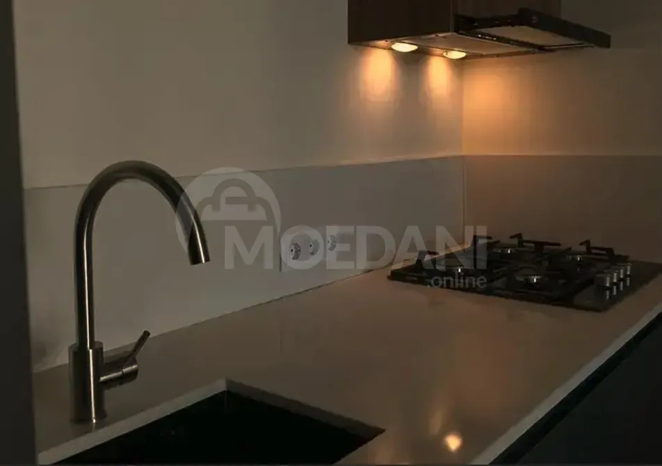 ქირავდება 2 ოთახიანი ბინა 60მ² 17/29 სართ თბილისი - photo 9