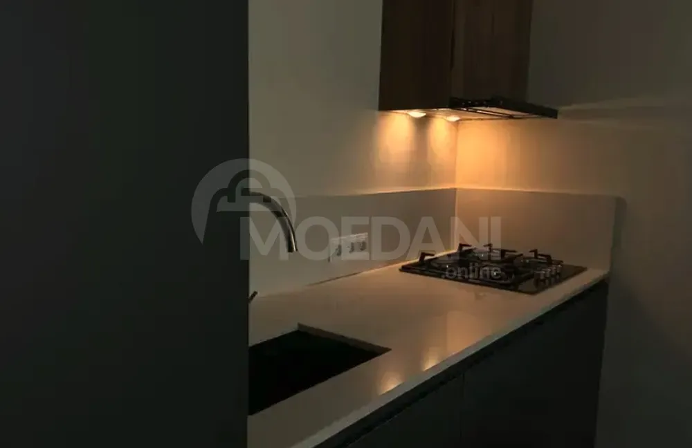 ქირავდება 2 ოთახიანი ბინა 60მ² 17/29 სართ თბილისი - photo 8