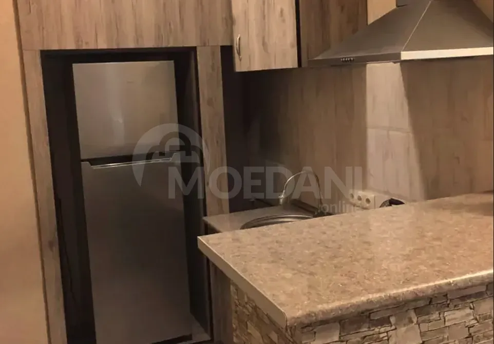 Apartments For Rent two-room 60м² 3/4 floor Tbilisi - photo 6