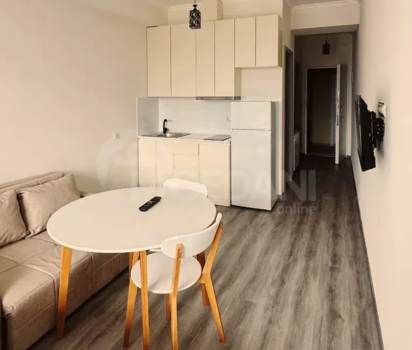 Apartments For Rent one-room 60м² 9/18 floor Tbilisi - photo 7