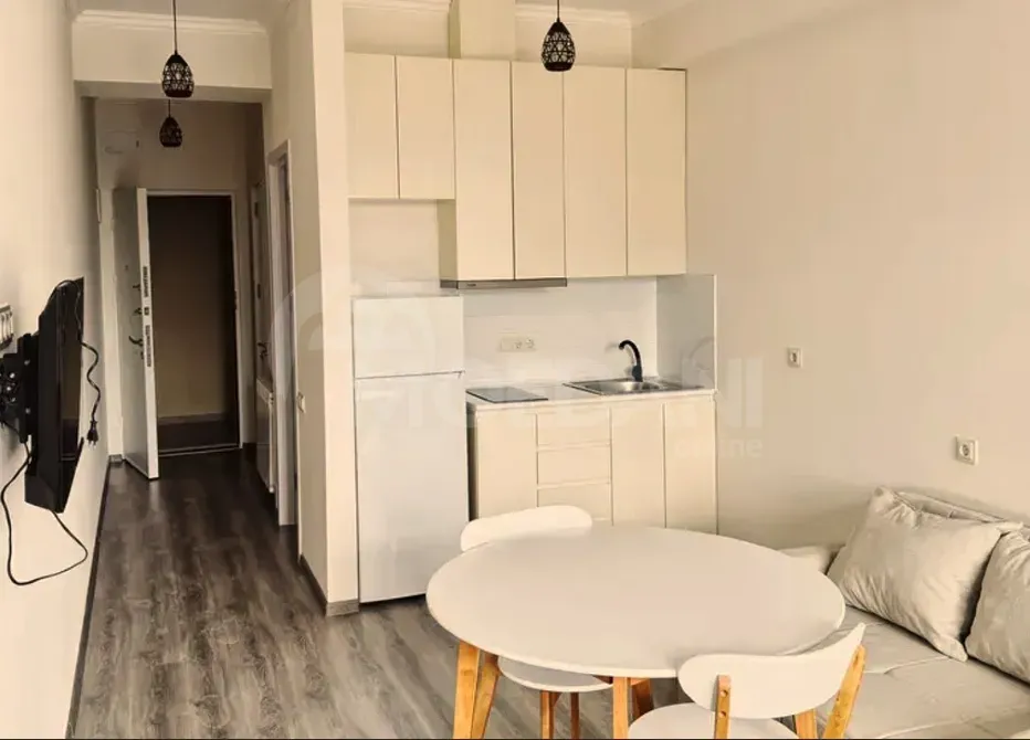Apartments For Rent one-room 60м² 9/18 floor Tbilisi - photo 2