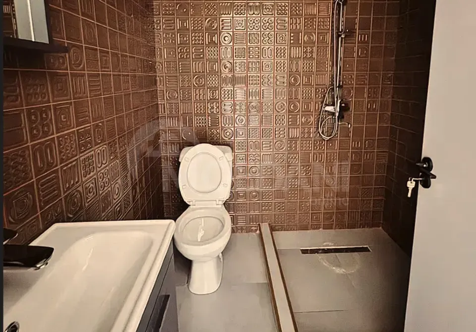 Apartments For Rent one-room 60м² 9/18 floor Tbilisi - photo 8