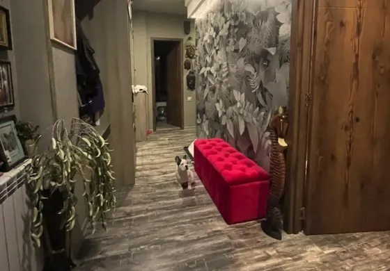 ქირავდება 3 ოთახიანი ბინა 80მ² 8/9 სართ თბილისი