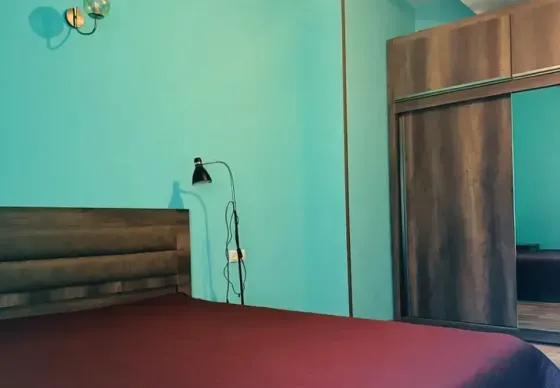 Apartments For Rent two-room 60м² 9/22 floor Tbilisi