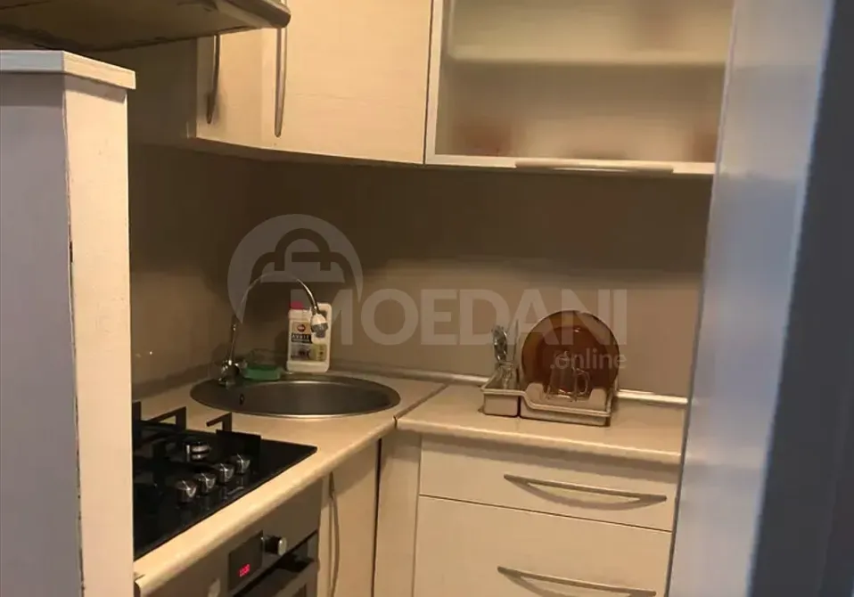 Apartments For Rent two-room 80м² 4/12 floor Tbilisi - photo 2