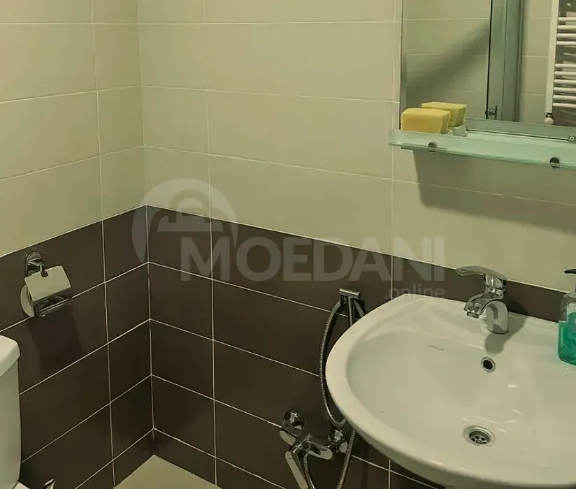 Apartments For Rent two-room 50м² 10/12 floor Tbilisi - photo 12