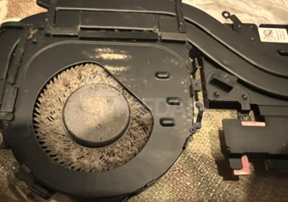 Laptop cleaning / thermal paste renewal by calling Tbilisi - photo 2