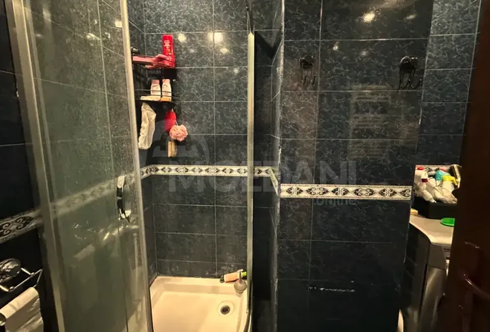 Apartments For Rent three-room 110м² 9/14 floor Tbilisi - photo 10