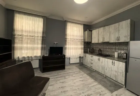 Apartments For Rent two-room 70м² 1/4 floor Tbilisi