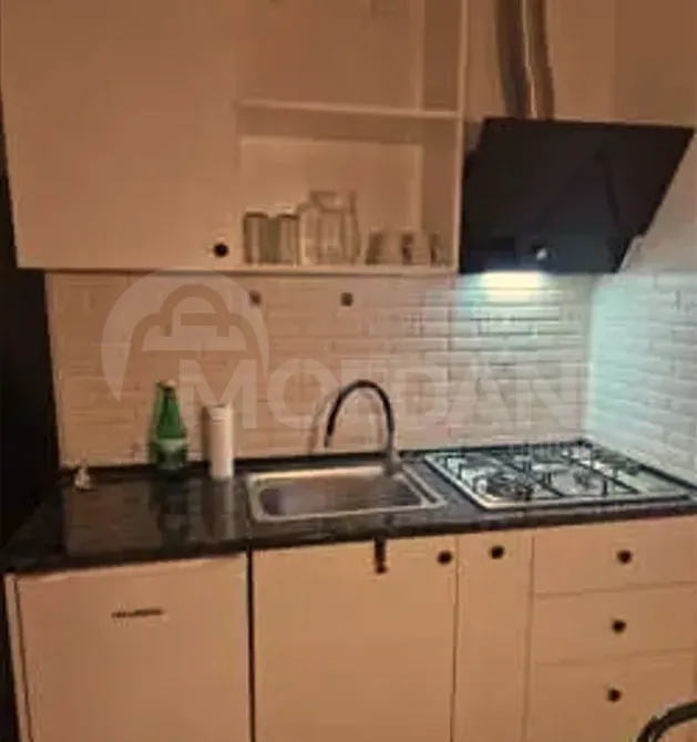 Apartments For Rent two-room 50м² 8/8 floor Tbilisi - photo 2