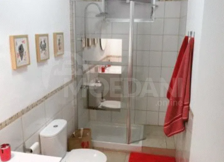 ქირავდება 4 ოთახიანი ბინა 184მ² 4/7 სართ თბილისი - photo 5