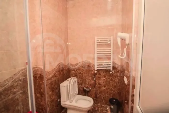 Rent 2 apartment 50м² 7/18 floor Tbilisi - photo 6