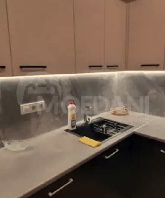 Apartments For Rent two-room 50м² 4/12 floor Tbilisi - photo 4