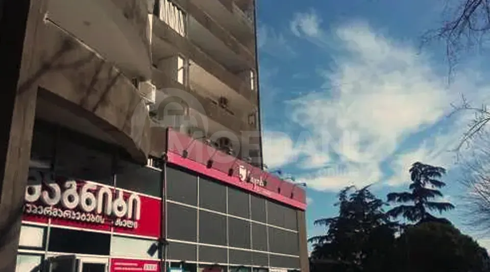 ქირავდება 3 ოთახიანი ბინა 70მ² 4/12 სართ თბილისი - photo 10