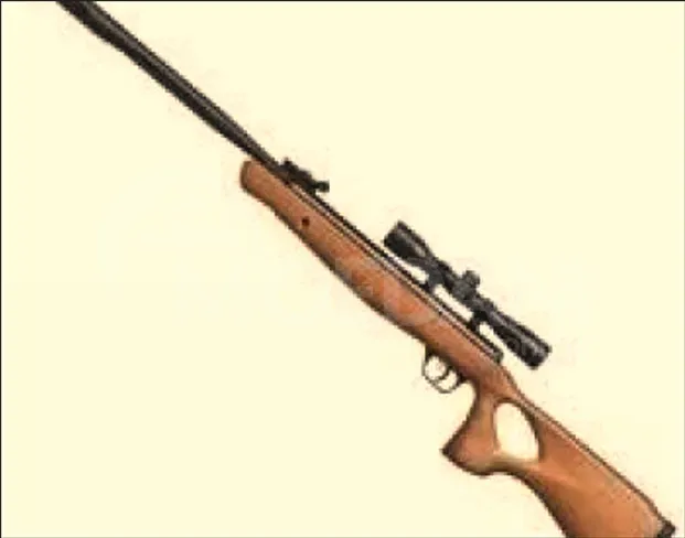 Большой выбор американских пистолетов со скорострельностью 370-430. Тбилиси - изображение 3