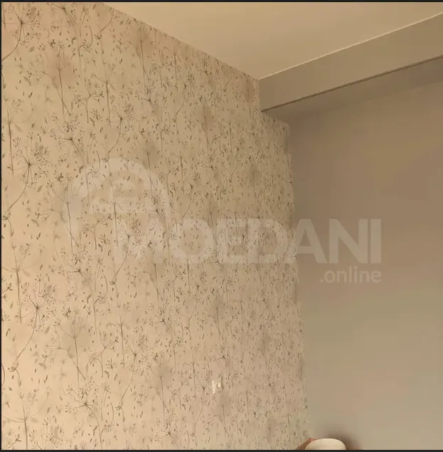 Apartments For Sale two-room 45м² 12/12 floor Tbilisi - photo 8