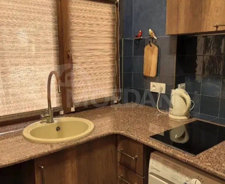 Apartments For Rent one-room 35м² 1/2 floor Tbilisi - photo 4