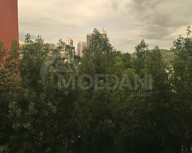 Apartments For Rent three-room 85м² 7/12 floor Tbilisi - photo 11