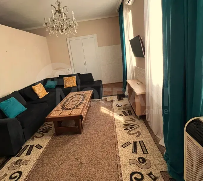 Apartments For Rent one-room 40м² 1/1 floor Tbilisi - photo 5