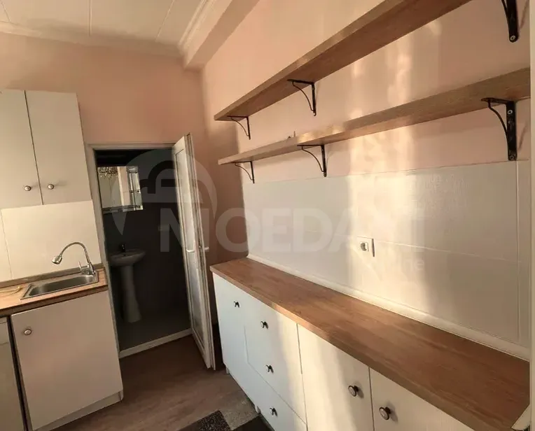 Apartments For Rent one-room 40м² 1/1 floor Tbilisi - photo 2