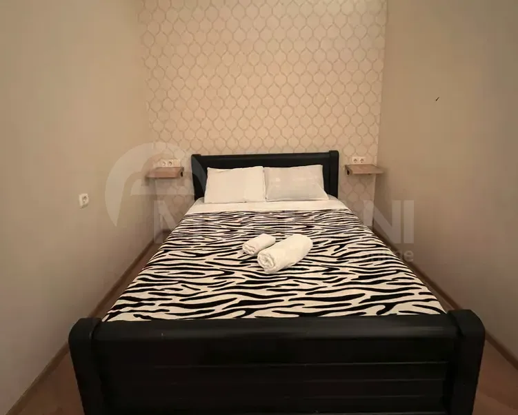 Apartments For Rent one-room 40м² 1/1 floor Tbilisi - photo 6