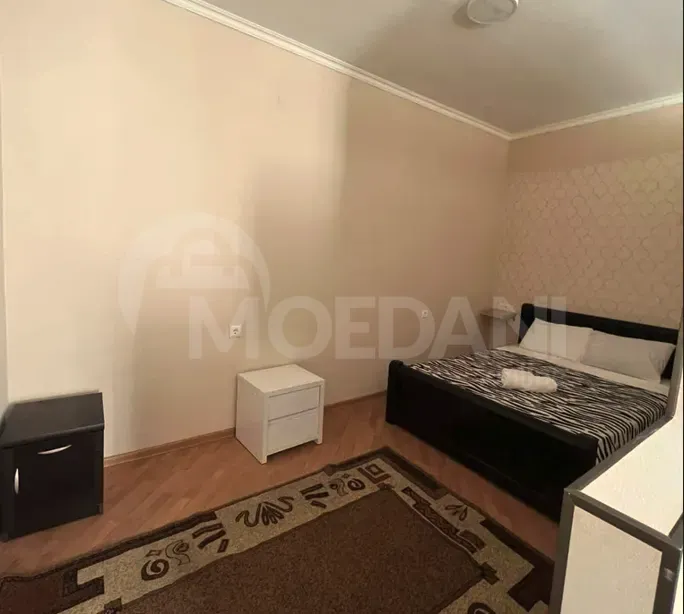 Apartments For Rent one-room 40м² 1/1 floor Tbilisi - photo 3