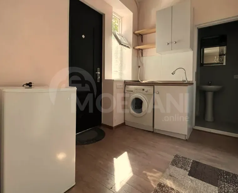Apartments For Rent one-room 40м² 1/1 floor Tbilisi - photo 4