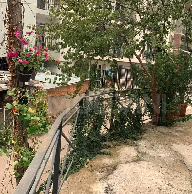 ქირავდება 2 ოთახიანი ბინა 60მ² 1/1 სართ თბილისი - photo 9