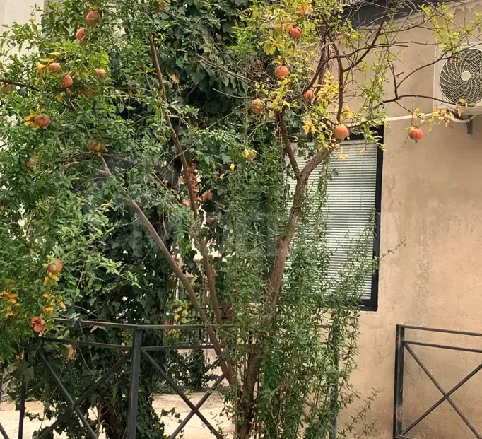 ქირავდება 2 ოთახიანი ბინა 60მ² 1/1 სართ თბილისი - photo 8