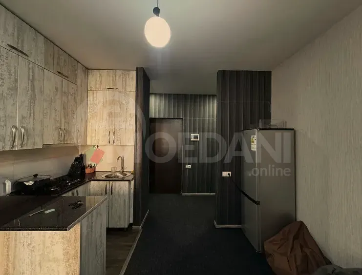 Apartments For Rent three-room 55м² 5/12 floor Tbilisi - photo 1