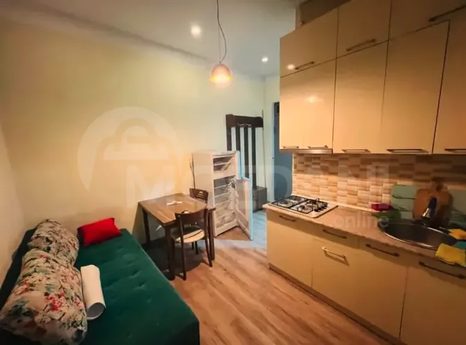 Apartments For Rent one-room 38м² 2/2 floor Tbilisi - photo 2