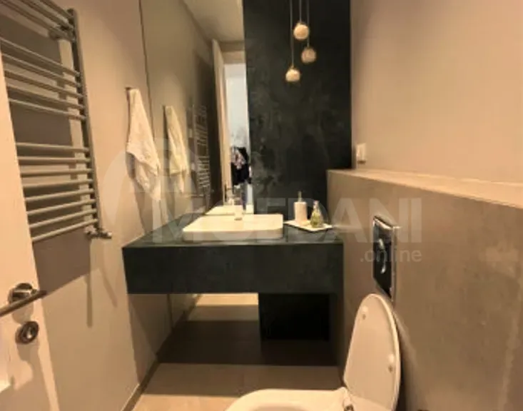 Apartments For Rent three-room 130м² 6/10 floor Tbilisi - photo 9