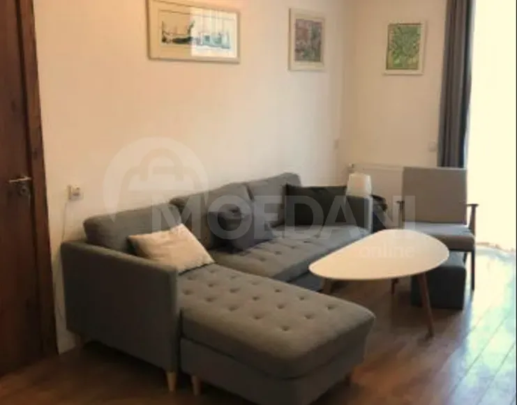 ქირავდება 2 ოთახიანი ბინა 50მ² 7/9 სართ თბილისი - photo 3