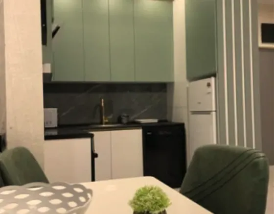 Apartments For Rent three-room 65м² 12/19 floor Tbilisi