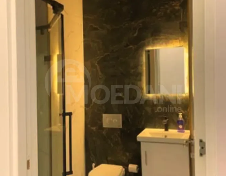 Apartments For Rent three-room 65м² 12/19 floor Tbilisi - photo 8