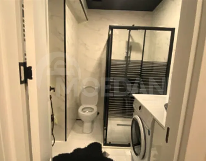 Apartments For Rent three-room 60м² 19/19 floor Tbilisi - photo 12