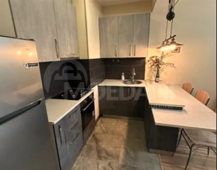 Apartments For Rent two-room 62м² 15/22 floor Tbilisi - photo 8