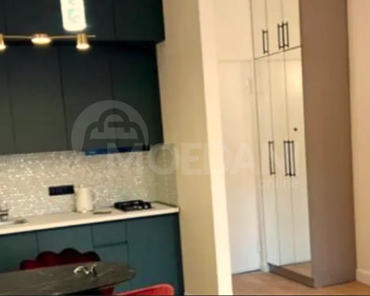 ქირავდება 2 ოთახიანი ბინა 48მ² 4/22 სართ თბილისი - photo 1