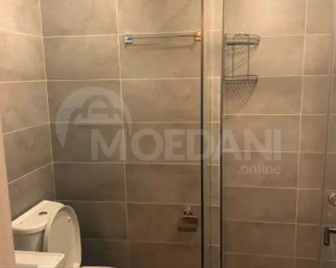 Apartments For Rent three-room 65м² 9/18 floor Tbilisi - photo 9