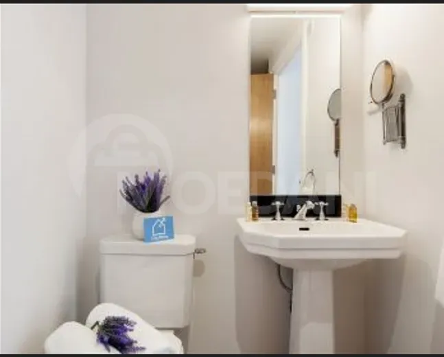 Сдам 5-комн. квартиру 198м² 5/11 эт. Тбилиси - изображение 4