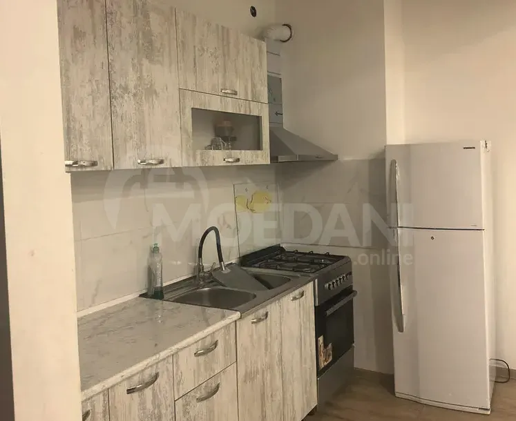 Apartments For Rent two-room 60м² 7/18 floor Tbilisi - photo 12